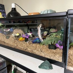 Snake enclosure